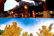 从工作狂到被治愈，小林在成都的休闲文化之旅