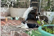 从职场倦怠到重寻生活平衡，朋友在成都的休闲心路历程启示