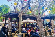 新成都人小杨的真切消停日子，能给你带来哪些工作生活思索？