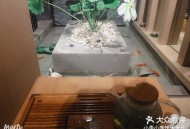 寻觅成都地道桑拿体验？朋友小李的经历或许能帮到你