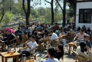 去年夏天成都品茶，友人小林道出在这座城八年未领会的闲适？