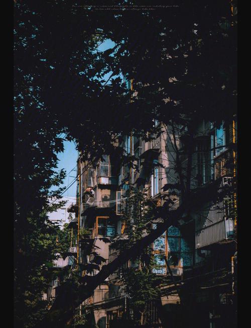 成都桑拿推荐_成都桑拿推荐地方_成都好的桑拿