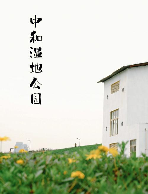 成都好的桑拿_成都桑拿推荐_成都桑拿推荐地方