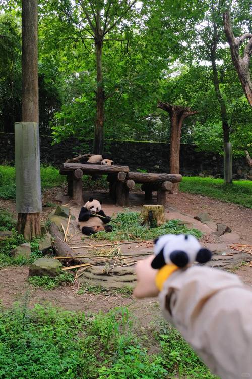 成都娱乐推荐_推荐几个成都娱乐地方_成都娱乐景点