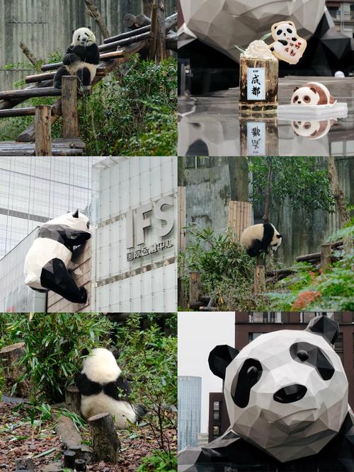 成都娱乐指南_成都娱乐攻略_成都娱乐方式