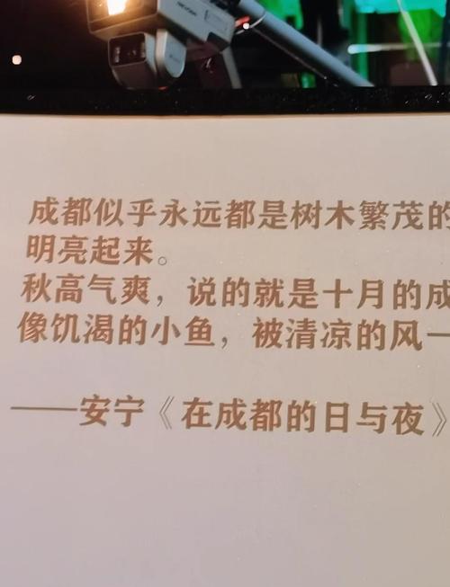 成都休闲体验_成都比较好玩儿的体验馆_成都好玩的体验馆