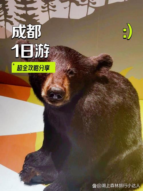 成都娱乐体验报告_成都娱乐体验馆在哪里_成都娱乐体验