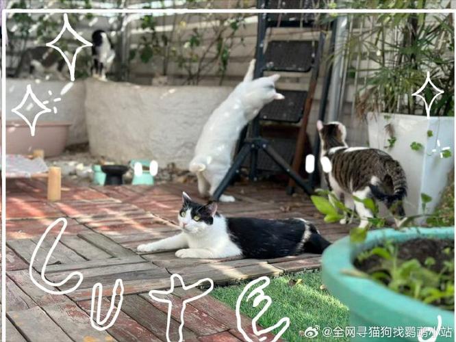 成都的休闲理念_成都休闲怎么样_成都休闲项目