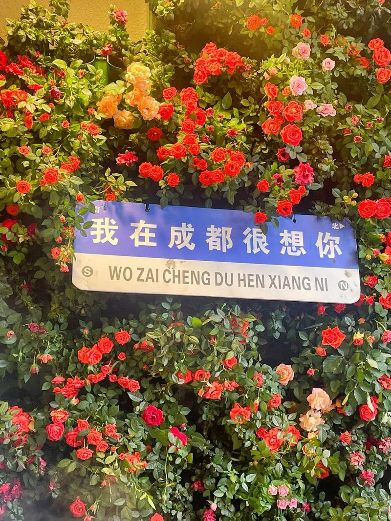 成都娱乐哪里好_成都娱乐_成都有什么娱乐项目