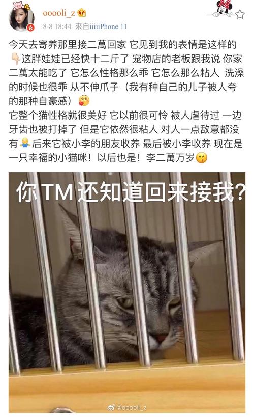 成都娱乐效果好不好_成都娱乐效果好不好_成都娱乐效果好不好