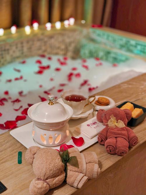 成都spa推荐_成都推荐官科技有限公司_成都推荐酒店