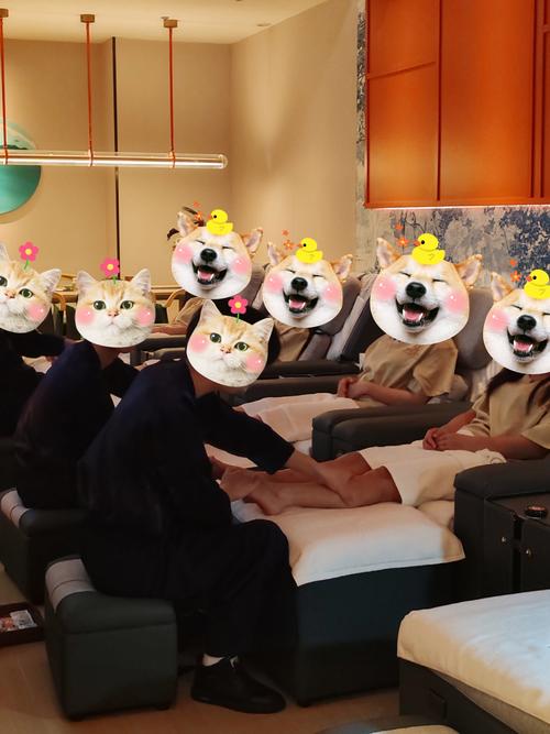 成都桑拿怎么样_成都桑拿价格_成都桑拿中心