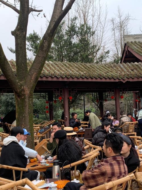 成都休闲项目_成都休闲怎么样_成都休闲生活