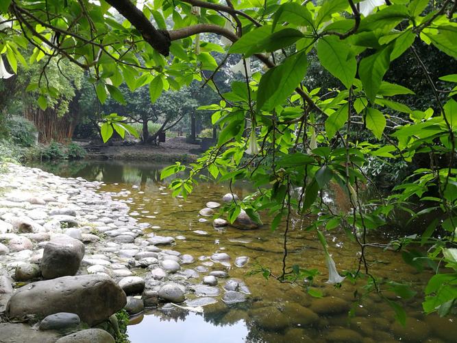 成都桑拿中心_成都桑拿体验馆哪家好_成都桑拿体验