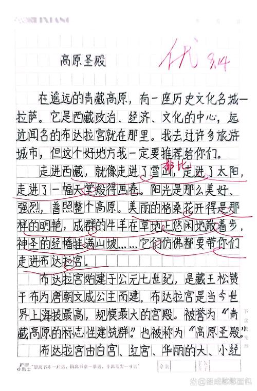 想在成都地道游玩？阿杰的经历能给你这些启发